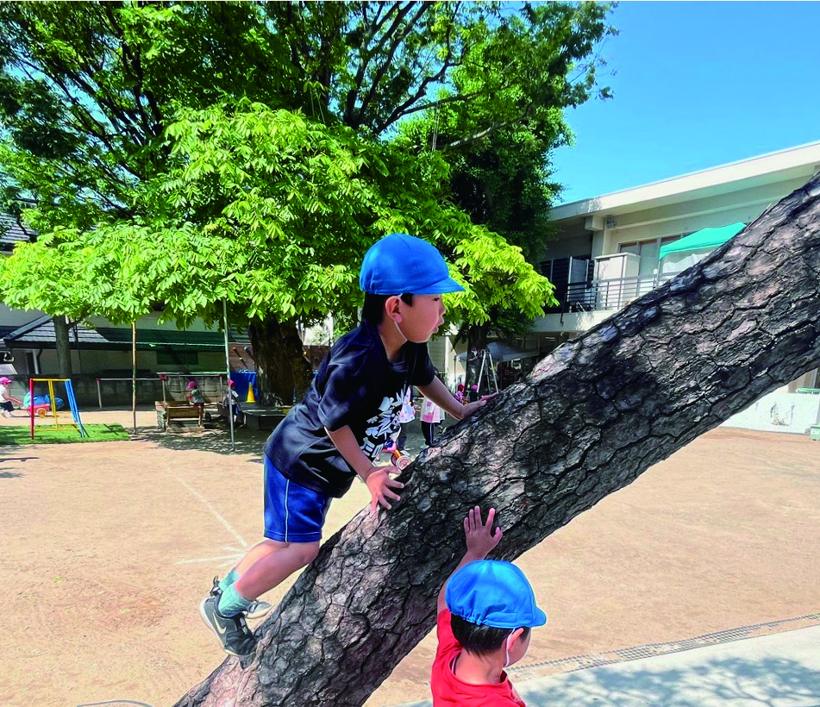 園庭の木に登る子ども