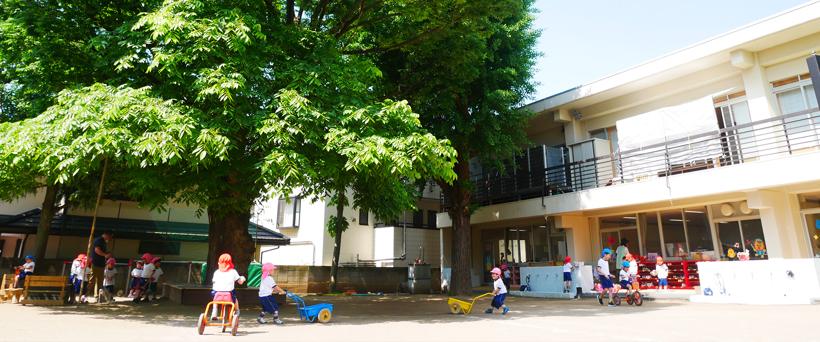 大きな木のある園庭と園舎