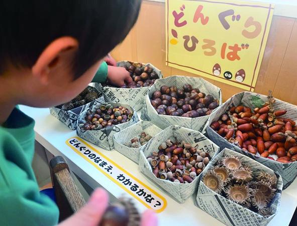 どんぐりなどの素材コーナー